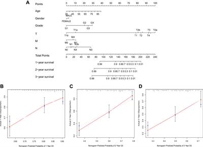 Screening and validation of platelet activation-related lncRNAs as potential biomarkers for prognosis and immunotherapy in gastric cancer patients